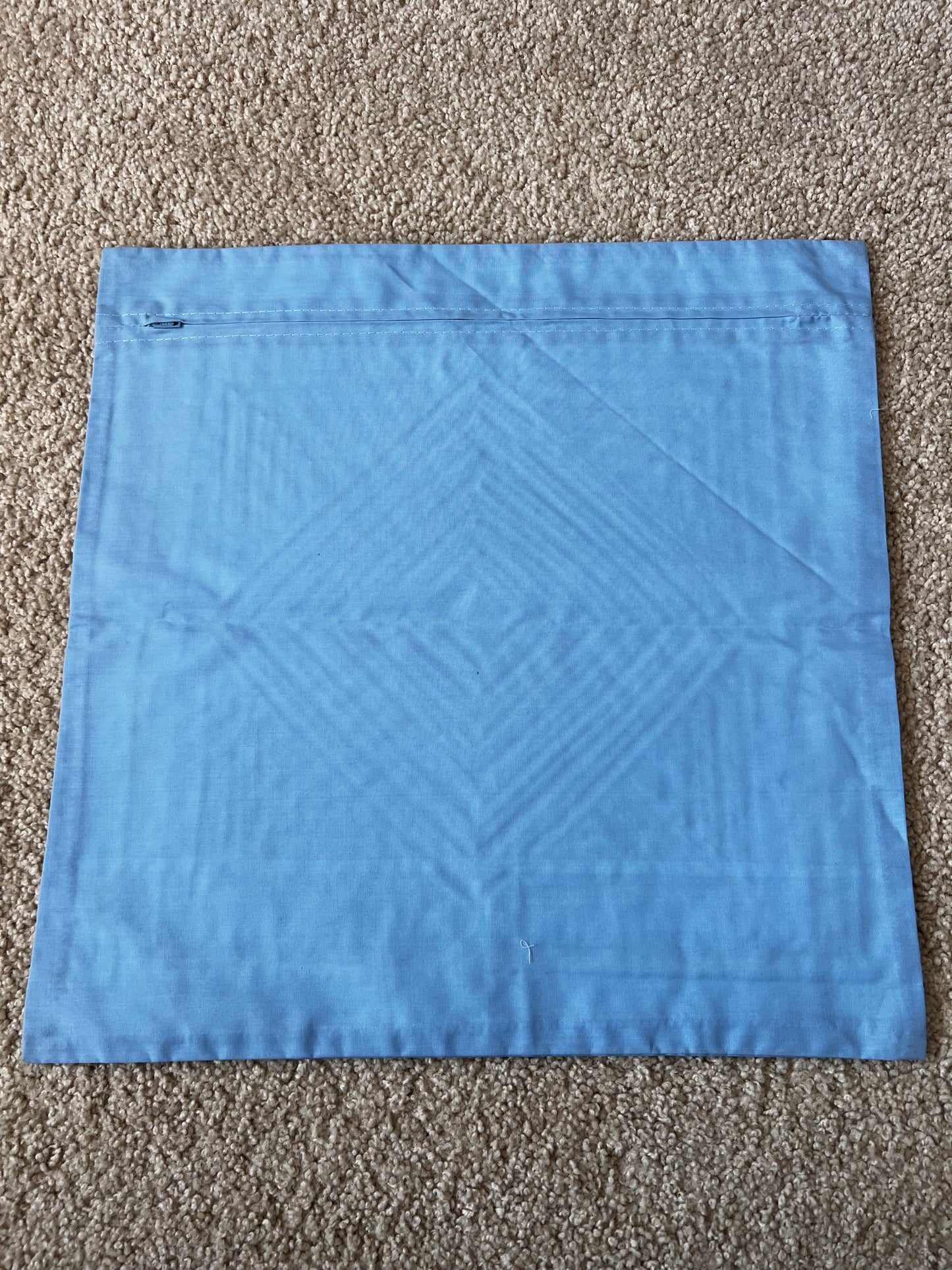 Tidepool Haven Pillow Case