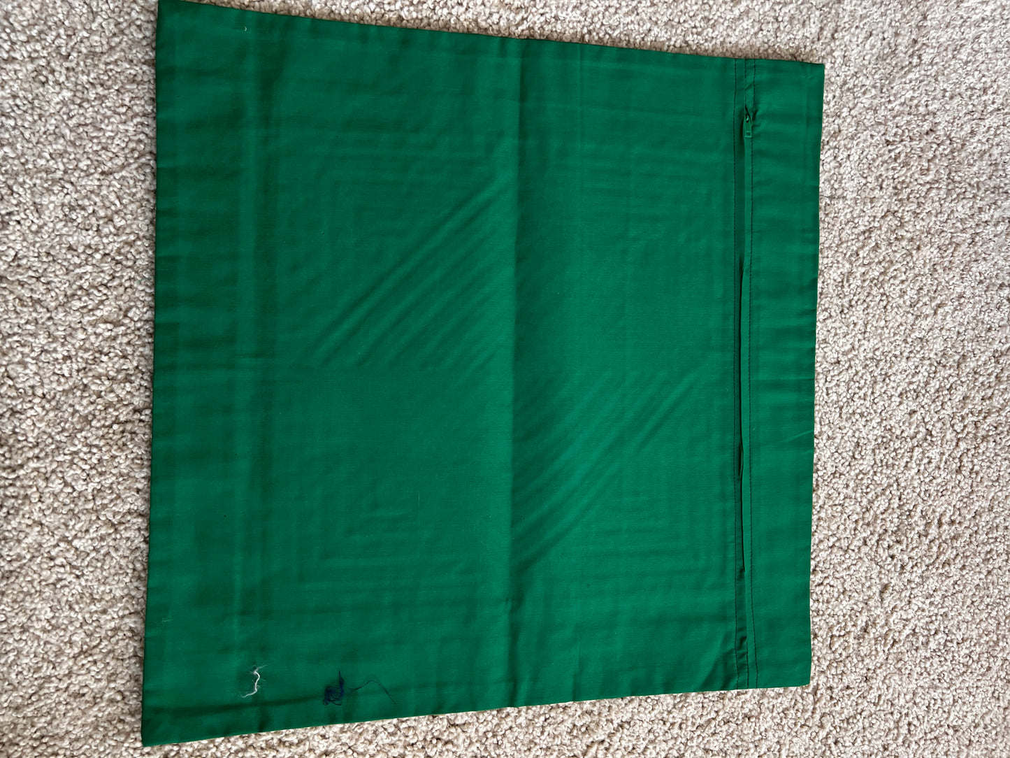 Forrest Lake Pillow Case